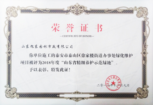 榮譽(yù)證書(shū)