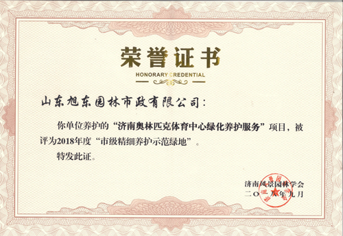 榮譽(yù)證書(shū)
