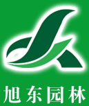 山東旭東園林市政有限公司